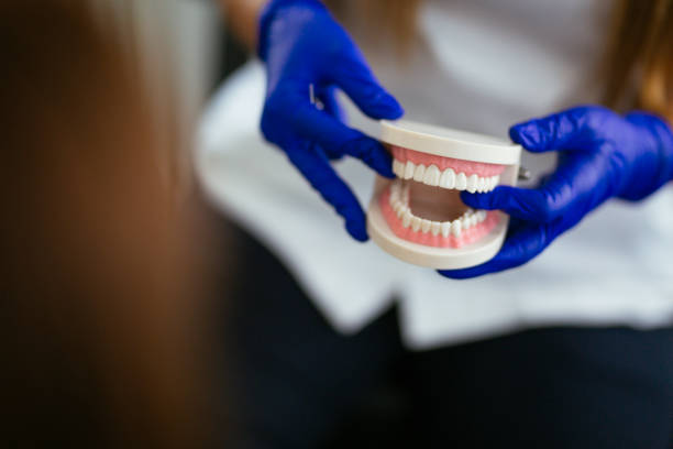 Reliable Belleair Beach, FL Dental Services Solutions